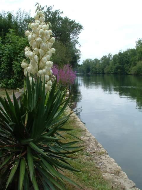 Bed and Breakfast La Fontaine Des Arts Mansle-les-Fontaines Экстерьер фото